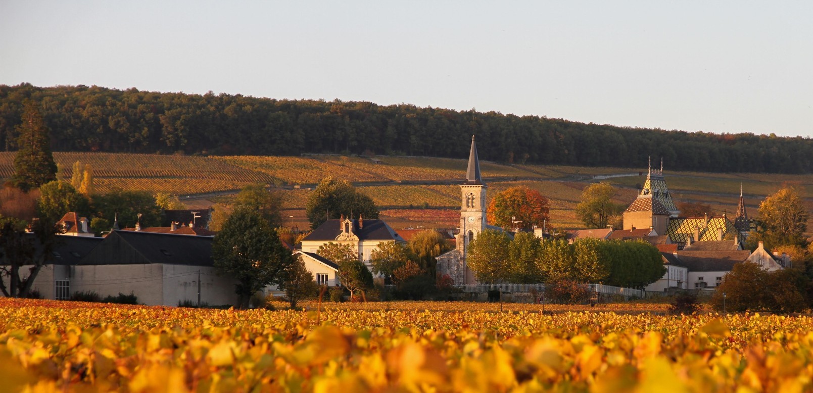 Bannière Aloxe-Corton en Bourgogne